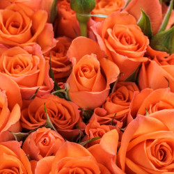 Flowerbomb