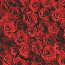 Velvet Rose And Oud