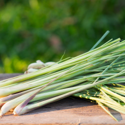 Lemongrass And Ginger