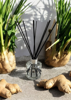 Lemongrass And Ginger